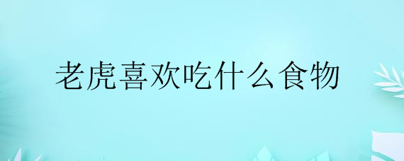 老虎喜欢吃什么食物——自制
