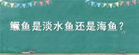 鳜鱼是淡水鱼还是海鱼?
