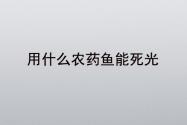 用什么农药毒鱼能让鱼死光?
