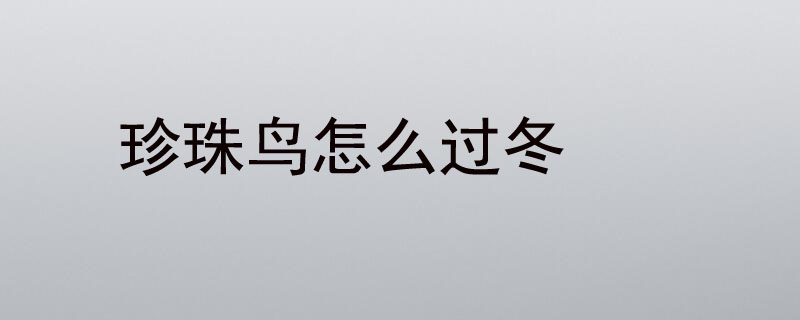 珍珠鸟怎么过冬