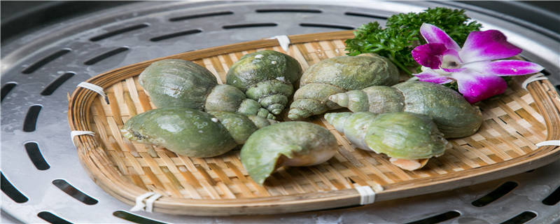 紫纹螺怎么繁殖-摄图网