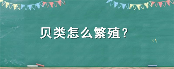 贝类怎么繁殖-自制