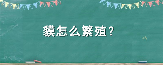 貘怎么繁殖?-自制