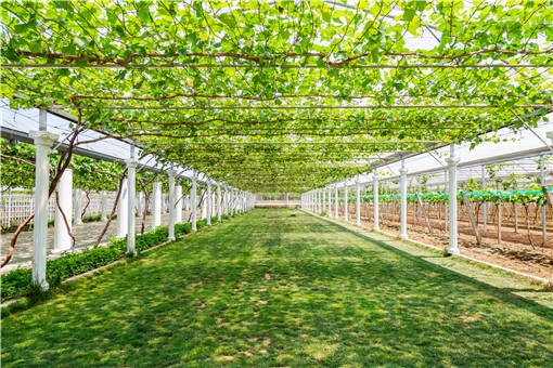 2019����ʲô���Ѻ�-��ͼ��