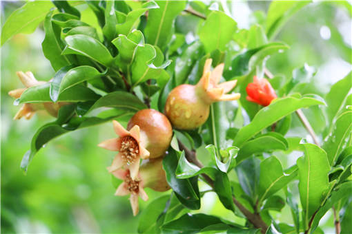 ��������ʯ��ʲôʱ�����-��ͼ��