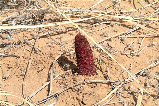 ������-��ͼ��