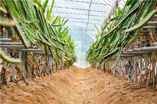 ��������۸�-��ͼ��