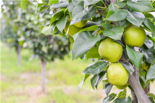 ������۸�-��ͼ��