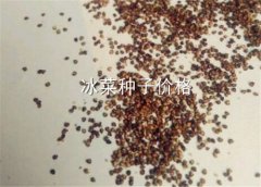 ������ˡ��������Ӽ۸����Ǯһ���ֲ�߲��������ܣ�