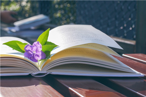 ������-��ͼ��