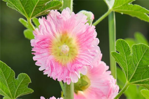 ���-��ͼ��