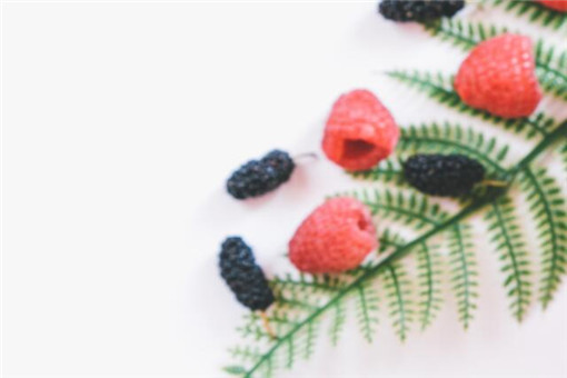 ��ݮ-��ͼ��