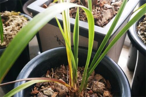 ����-����