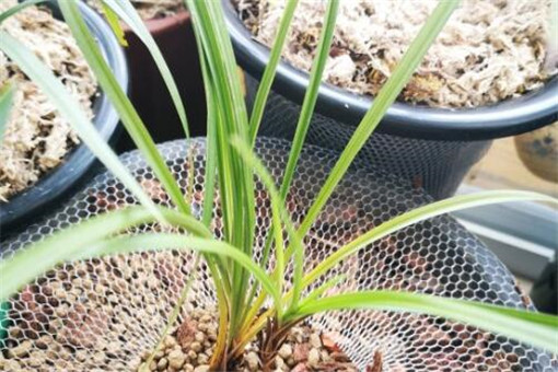 ����-����