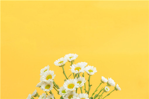 �ջ�-��ͼ��