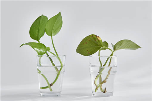 ���ܵ���������-��ͼ��