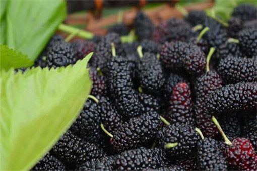 ɣ��-��ͼ��