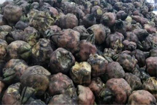 ��ʵ-��ͼ��