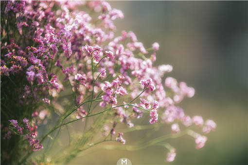 ������-��ͼ��