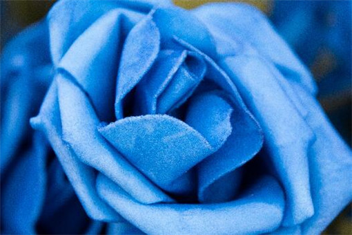 ��ɫ����-��ͼ��