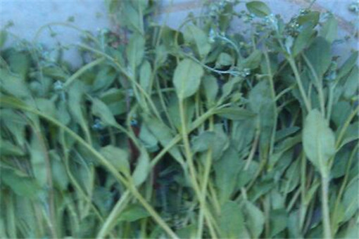 �ض���-����