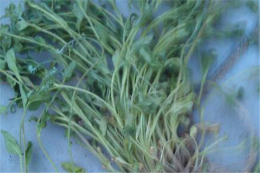 �ض���-����