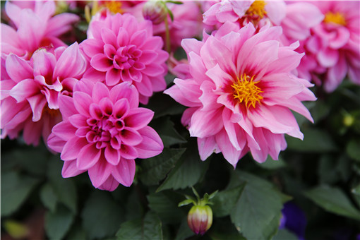 ������-��ͼ��