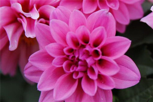 ������-��ͼ��