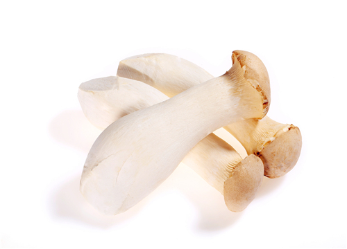 �ӱ���-��ͼ��