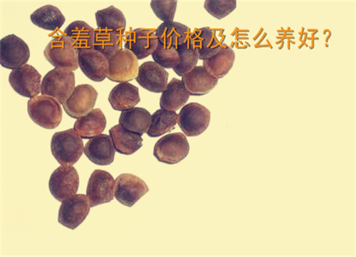 ���߲�-����