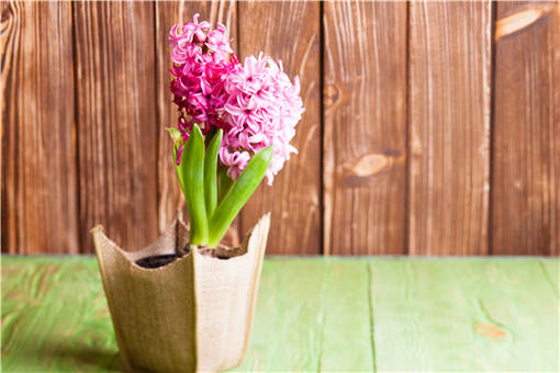 �����������ֲ-��ͼ��