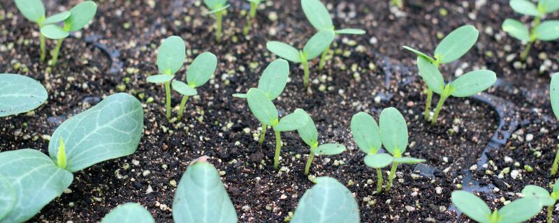 ����-����