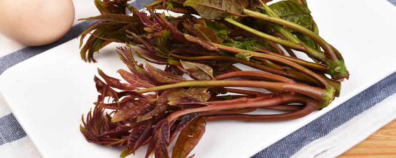 �㴻ѿ���-��ͼ��