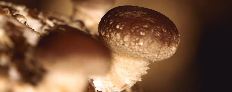 �㹽-��ͼ��