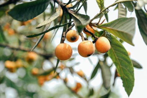 ���˵����༼��