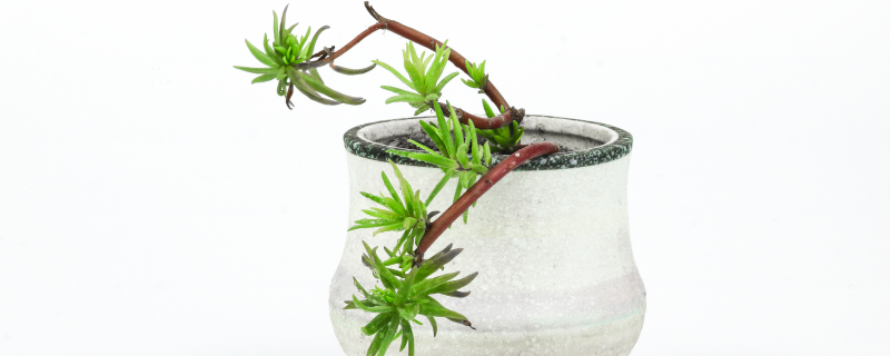 �޺���-��ͼ��