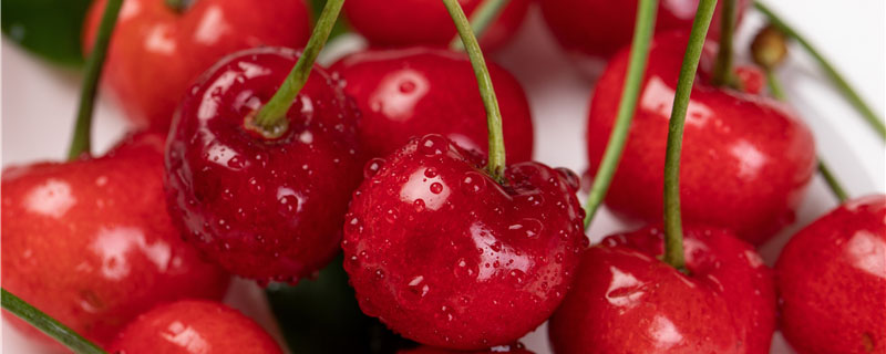 ͩ���������ժӣ��