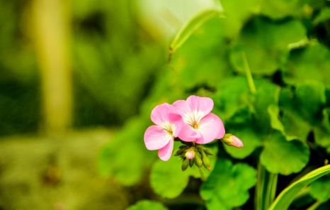 ���ÿ����Ӽ۸�