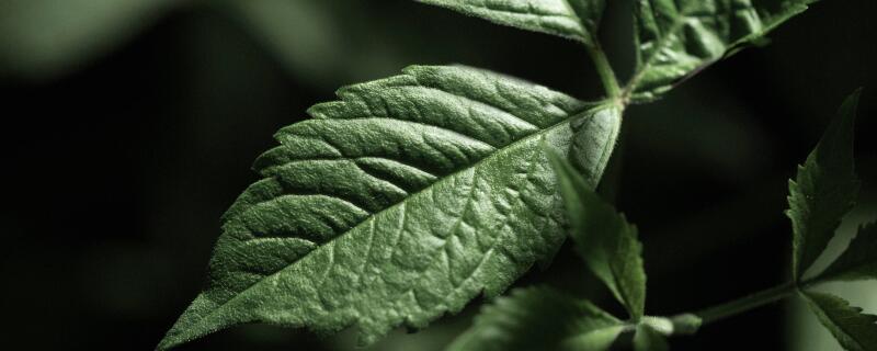 �ʹ���-����