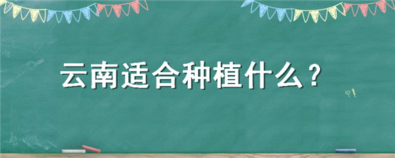 �����ʺ���ֲʲô-����