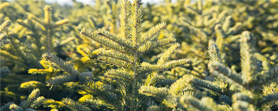 ������-��ͼ��