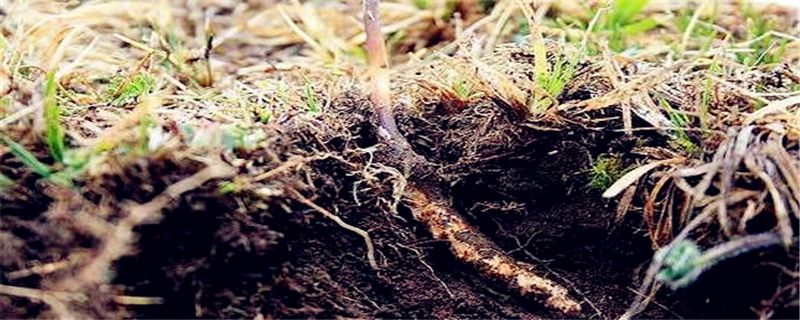 �³������Ķ����Ĳ�