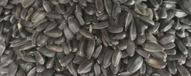 ��������-����