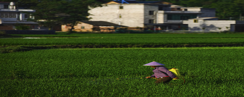 �����׻�¡ʹ�ü���