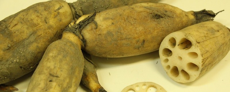 ��ź��ֲ�ɱ�������