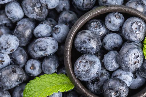蓝莓——摄图