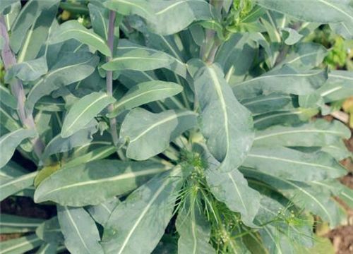 ������-����