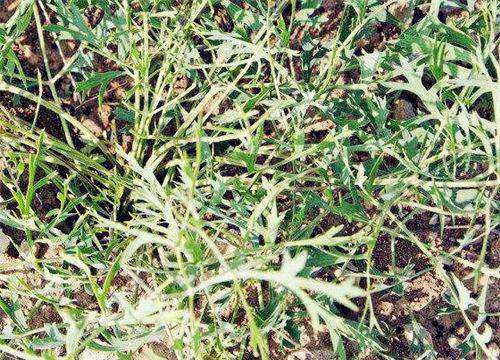 ����-����