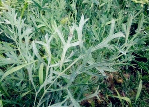 ����-����