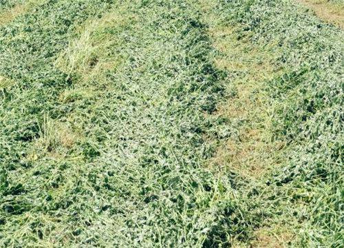 ��ޣ-����